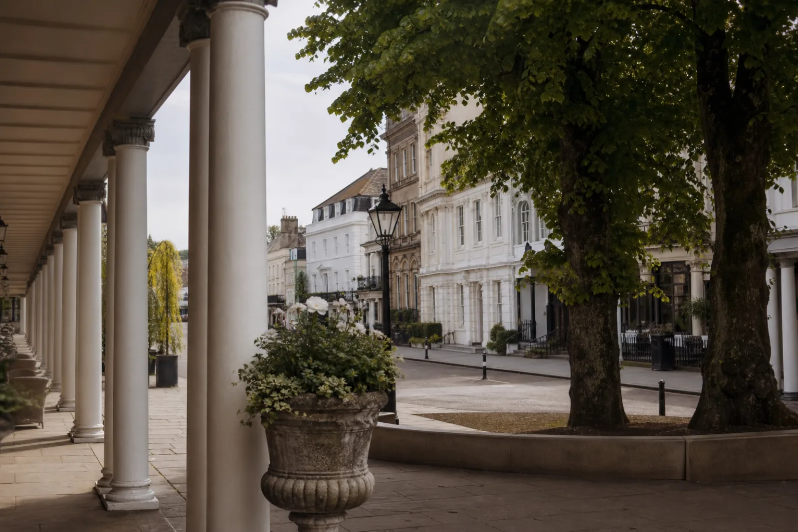 Web design in Tunbridge Wells: what local businesses need
